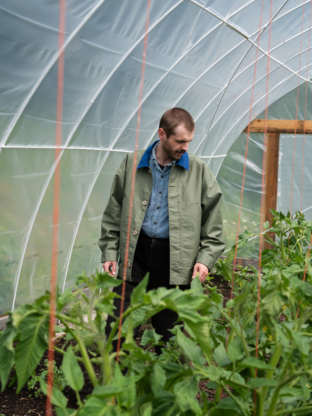Harvest Jacket Olive